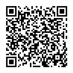 贝贝圆溜溜的大眼睛一眨不眨的看着闻人牧月也不知道在想些什么二维码生成