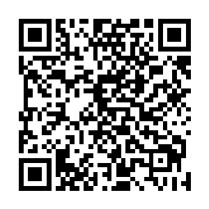 贝贝现在正一脸幸福的吃着闻人牧月喂给她的水果沙拉呢二维码生成