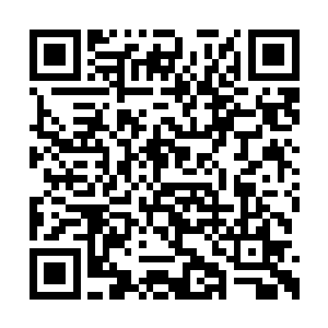 负责东城区的副会长乌寒山也摸出块玉碟晃了晃二维码生成