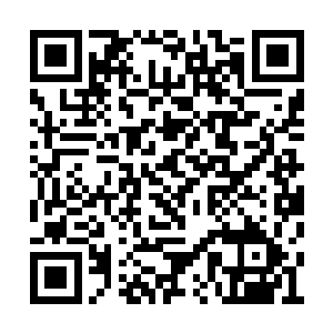 负责他身体健康的医疗小组也替换了一批陌生人二维码生成
