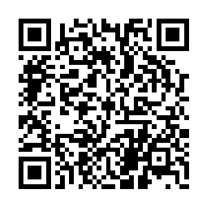 负责发射鱼雷的舰员立刻按下了一个红色的按钮二维码生成