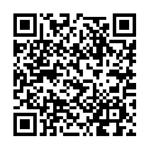 负责喂食和观察的男人和女人们嘴角翘的越来越高二维码生成