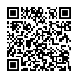 负责在一边记录的那个年轻警察实在是忍不住了二维码生成