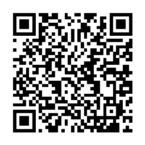 负责城防的战士正在严格的检查着进出摩格城的车辆和人员二维码生成