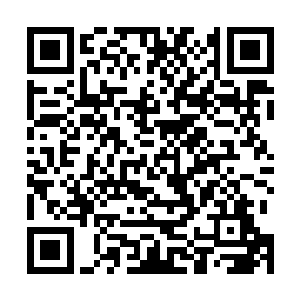 负责接受来自南方巫师联盟送来的各种有巫师资质的学徒二维码生成