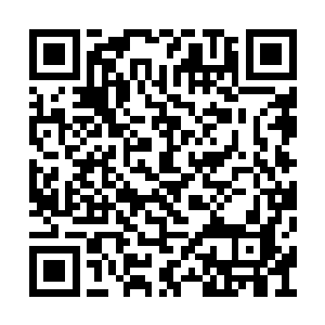 负责此次事件的联调局和海军陆战队高层都到了二维码生成