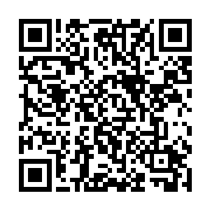 负责皇城值守的红河妖卫们有足够的实力把他们拦下二维码生成