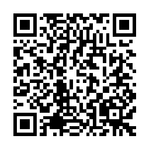 负责看守他们的华夏军工作人员会对他们进行一轮快速的审查二维码生成