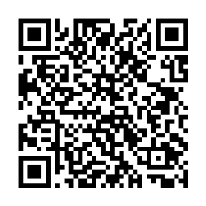 负责西城区的副会长武从功武掌柜看向下座之人询问二维码生成