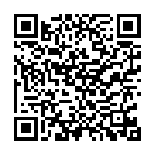 负责镇守杜门阵眼的姬归山和负责镇守景门阵眼的姬归海二维码生成