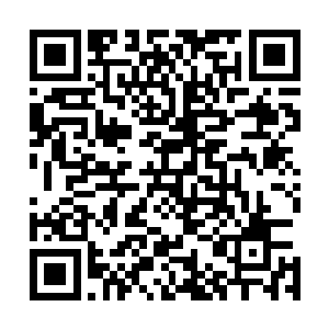 贡州的案子你知道我费了多大的力气才把你排除在案情之外二维码生成