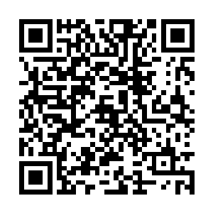 财富广场边缘的一些小伙子顿时露出了诧异的神色二维码生成