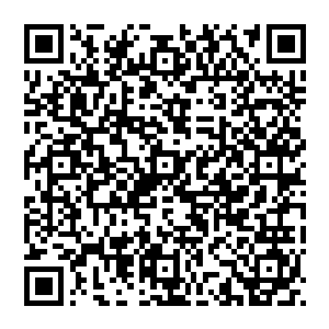 责任就是飞升修士想要像九域修士一样修炼进阶就要付出一千倍一万倍甚至更多的辛苦努力都无法做到二维码生成