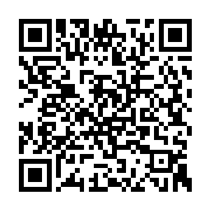 质料以纯棉或者棉麻混纺这种纯天然质料的最好二维码生成