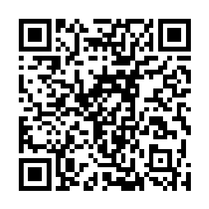 贪婪的盯着林雨馨的脸蛋和胸颈之间那道雪嫩深邃的沟壑二维码生成