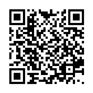 贪婪的虫舍不得放弃塞翁这份美味佳肴二维码生成