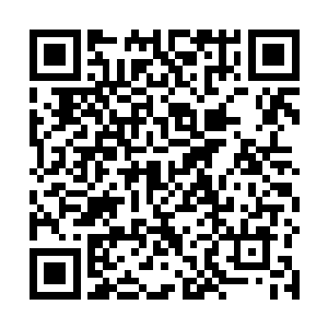贪狼也只有遇到血尸神那种超速度超力量的秒杀型攻击二维码生成