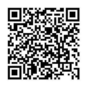 贪狼的攻击还没到夏天的跟前就已经被夏天甩飞出去了二维码生成