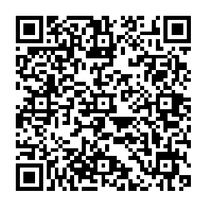 贫寒之家弟子父母拿出的几两自己用心从山上采摘的茶叶也会被宗师级的师傅看中喜欢二维码生成