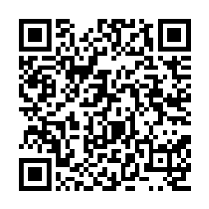 贫道恐怕还得一年半载才能了悟这样的刀法精义二维码生成