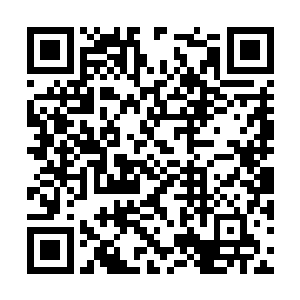 贾延阳正想着好好展现一下他这新上任县令的威风二维码生成