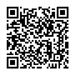 贾玉环又是激动又是担心更多却是有种想哭的冲动二维码生成