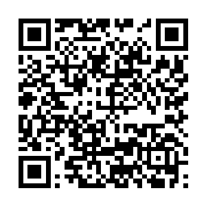 赛义德动用自己的权力要来了经费购买导弹给撒旦用二维码生成