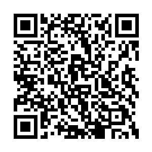 赛场之内稀稀拉拉地只站着一百二十八个炼丹师二维码生成
