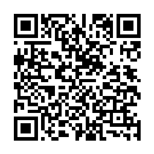 赛明顿只会害羞和长得像别人的人不知道她表演时有多灵气二维码生成