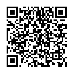 赢了的是要前往星界联盟去进行军事战术培训的二维码生成