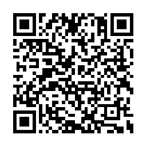 赤海龙王的那只龙爪竟然被一点一点的抬了起来二维码生成