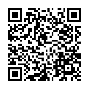 赤金石被赤霄神国的血刀宗以两百万的价格拍走了二维码生成