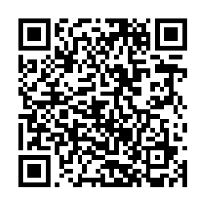 赤龙现在看他们就好像看几个令人满意的后辈一样二维码生成