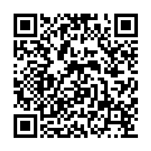 赤龙被夜染一声声的前辈听得心里那是一个舒坦二维码生成