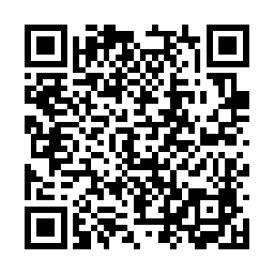 赫拉克勒斯剩下的一只眼睛里面也是闪过一丝凶芒二维码生成