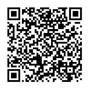 赫然与之前赤火天尊炼制出来的八转解毒圣丹的迷你小人一般无二二维码生成