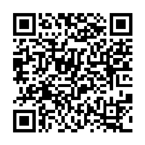 赫然便是她穿着的七彩罗裙和她裙内遮羞的轻纱亵裤二维码生成