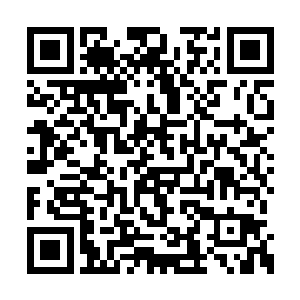 赫然便是由三节神霄紫竹炼制而成的那根紫竹杖二维码生成