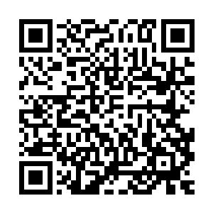 赫然发现那只被射瞎眼的棕熊不知什么时候竟来到了身后不远处二维码生成
