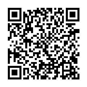 赫然已经来到了剑尘和缠龙大师两人战斗的地方二维码生成