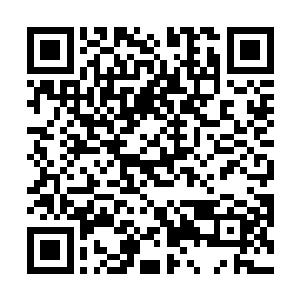 赫然指向了满头大汗的圣武士格里芬……背后的小女孩二维码生成