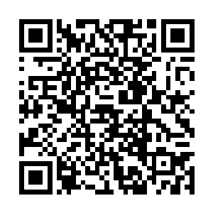 赫然是九个人之中修为最高的两个破道顶峰的高手二维码生成