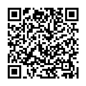 赫然是他从那个金刚琉璃体佛陀那里收来的菩提子二维码生成