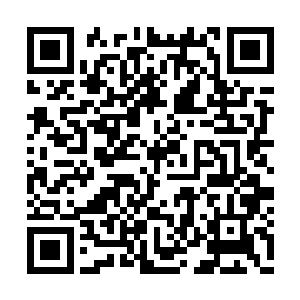 赫然是自己左边身体被划拉出了一道深深的伤口二维码生成
