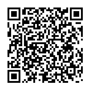 赫然是龙傲天以前的时候给玄青青治疗伤势的时候炼制的炎阳锻体丹二维码生成