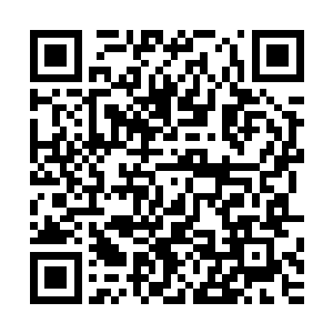 赫然看到好些个人已经被裂云或者风王那边的人强横压制擒拿二维码生成