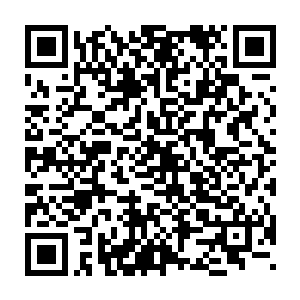 赫然跟之前的时候龙傲天从黑衣人身上得到的那张地图的材质有些相似二维码生成