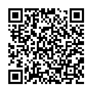 赫菱娜可能是除了沐然霏霏外第二个选择归顺风萧萧的NPC了二维码生成