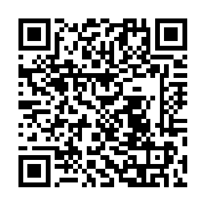 走了半天觉得有点累了于是龙傲天对自己身边的影子说道二维码生成