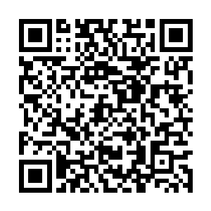 走出去见到人还不都知道我是大明星苏紫萱的婆婆二维码生成